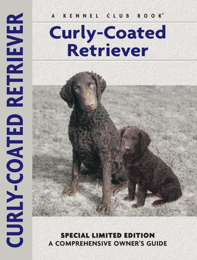 Portada: Curly-coated Retriever
