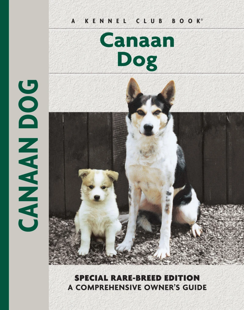 Portada: Canaan Dog
