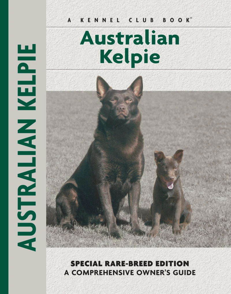 Portada: Australian Kelpie