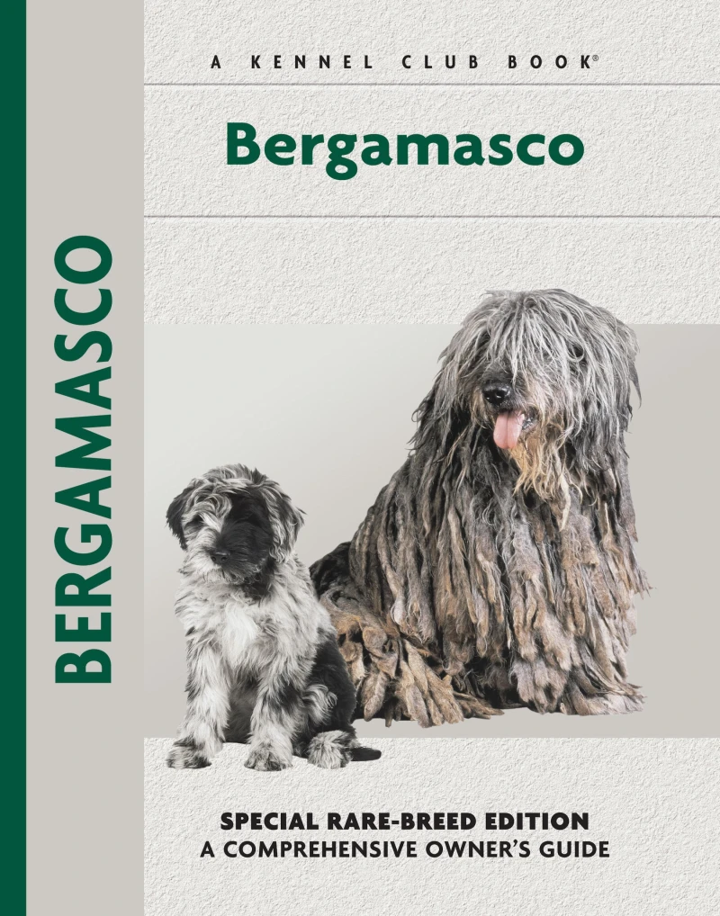 Portada: Bergamasco