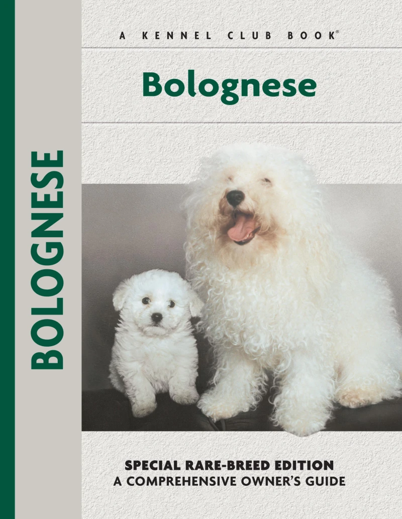 Portada: Bolognese