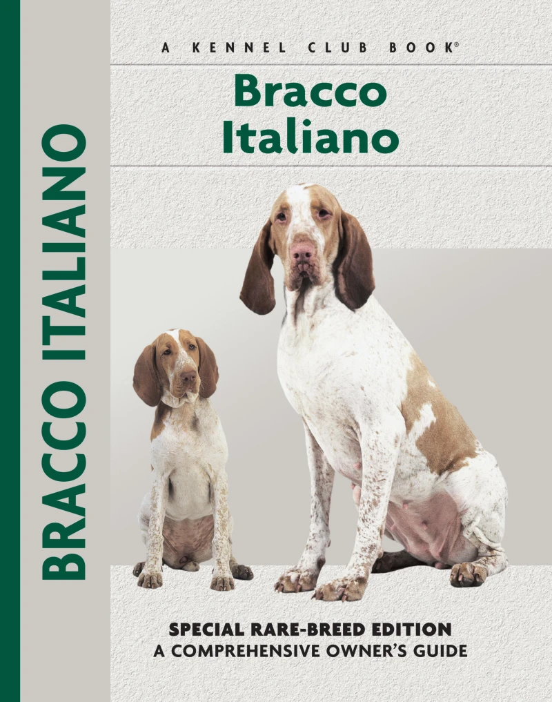 Portada: Bracco Italiano