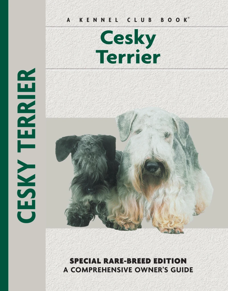 Portada: Cesky Terrier