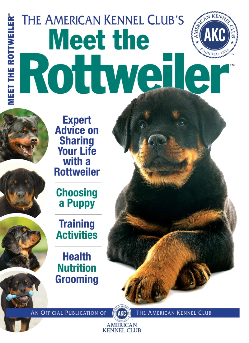 Portada: Meet the Rottweiler