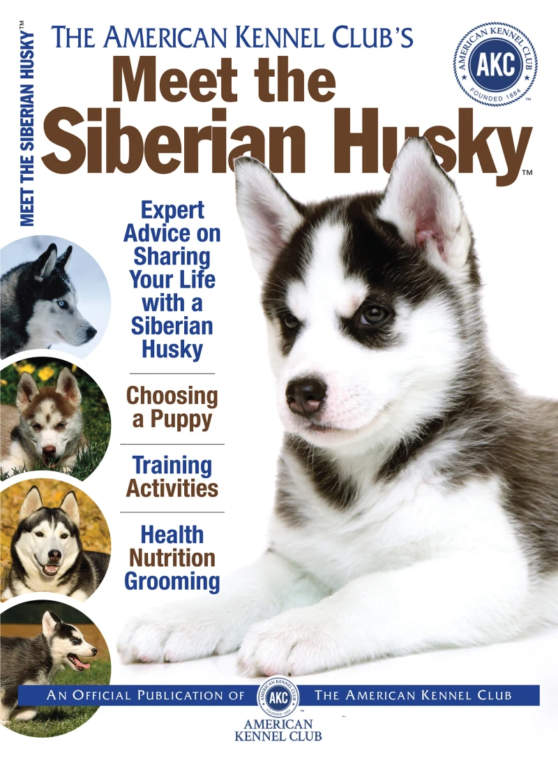 Portada: Meet the Siberian Husky