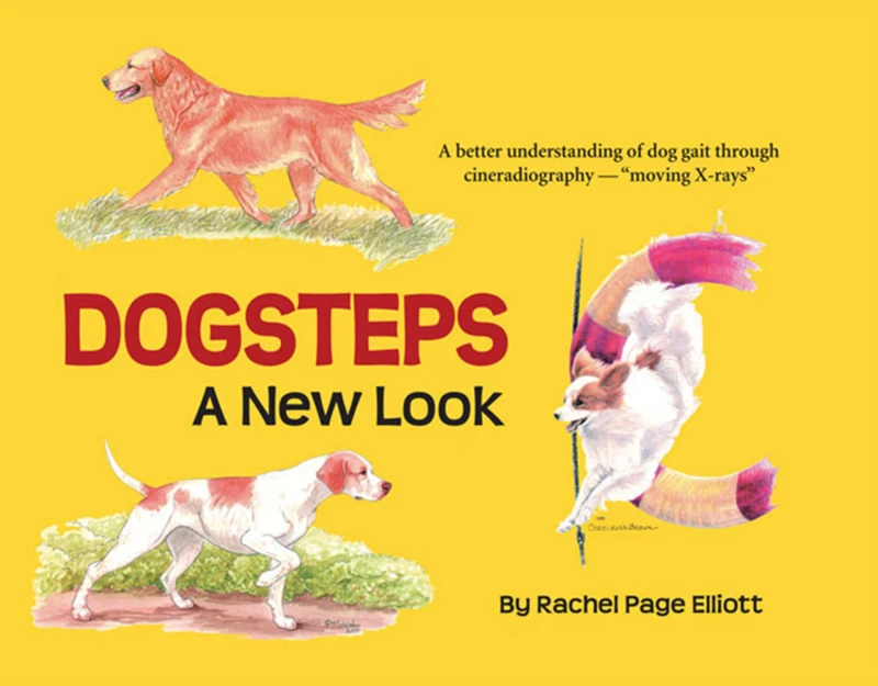 Portada: Dogsteps