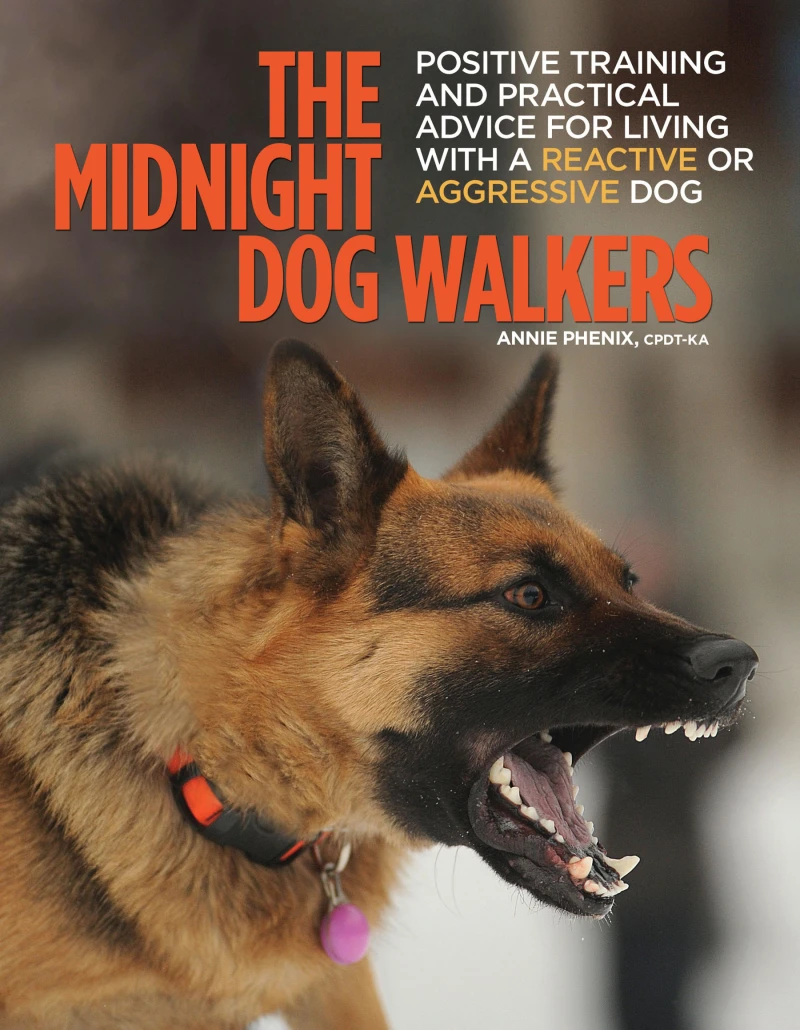 Portada: The Midnight Dog Walkers