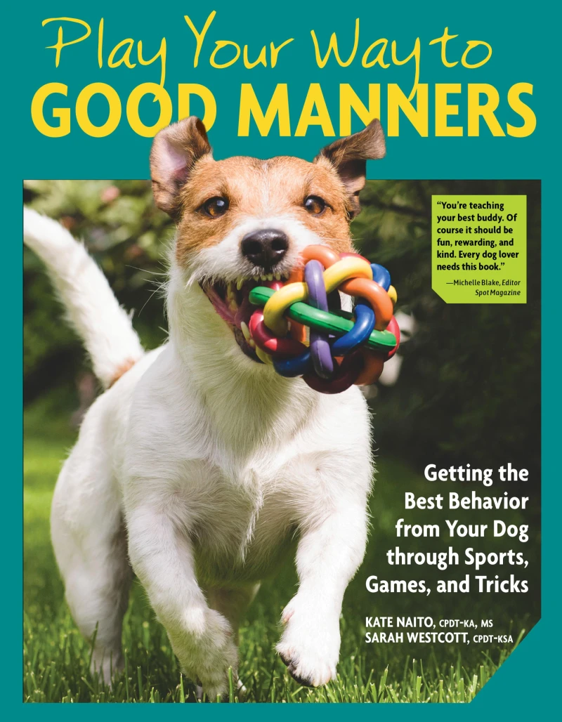 Portada: Play Your Way to Good Manners