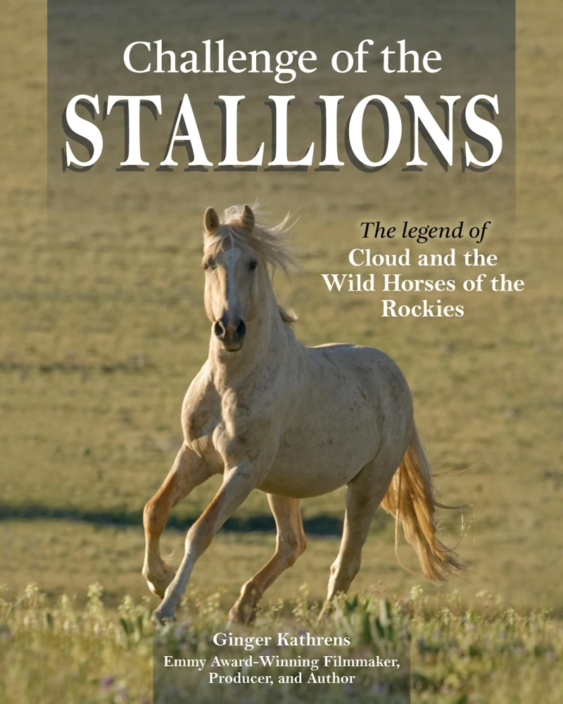 Portada: Challenge of the Stallions