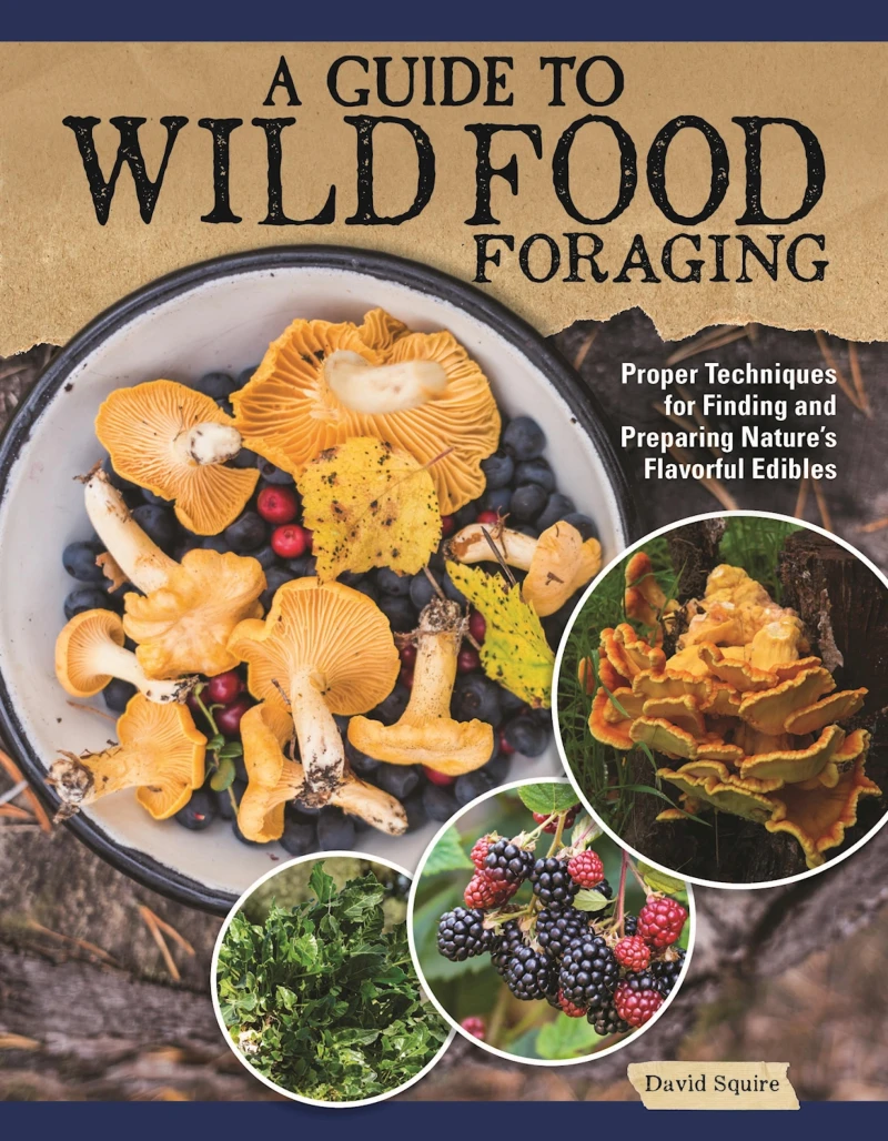 Portada: A Guide to Wild Food Foraging