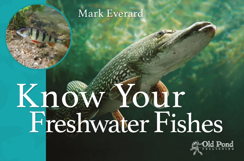 Portada: Know Your Freshwater Fishes
