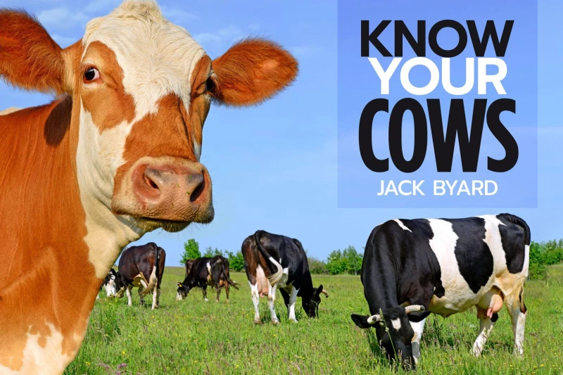 Portada: Know Your Cows