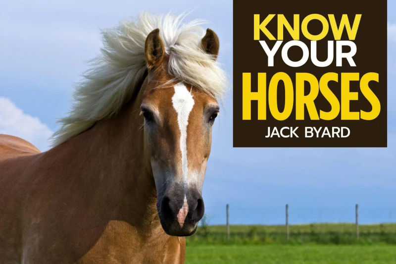 Portada: Know Your Horses
