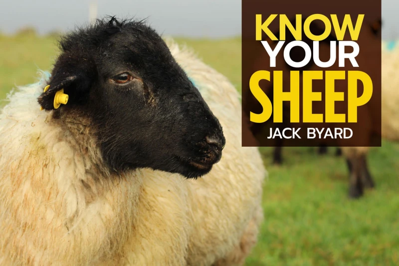 Portada: Know Your Sheep