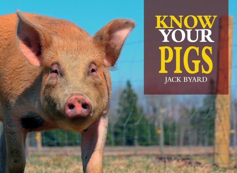Portada: Know Your Pigs
