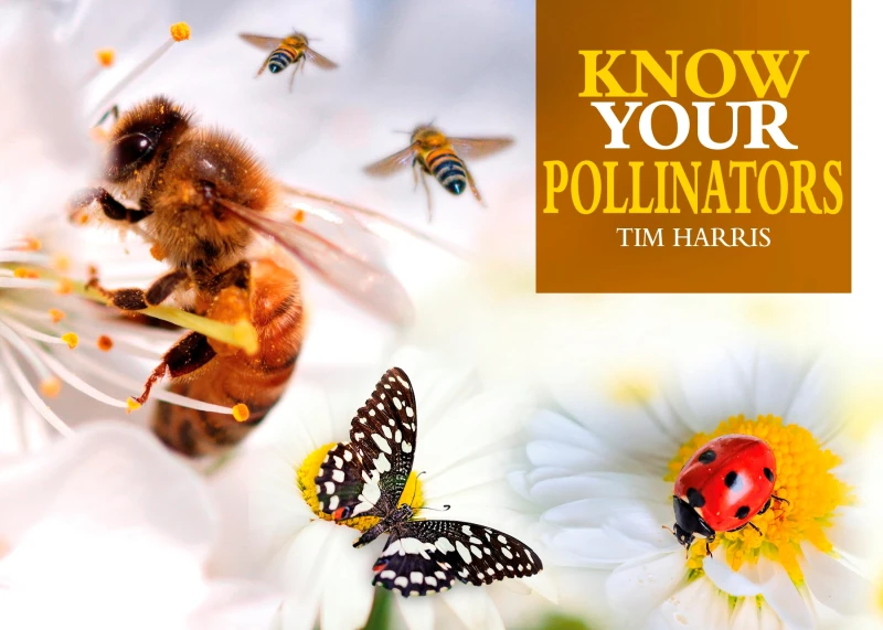 Portada: Know Your Pollinators