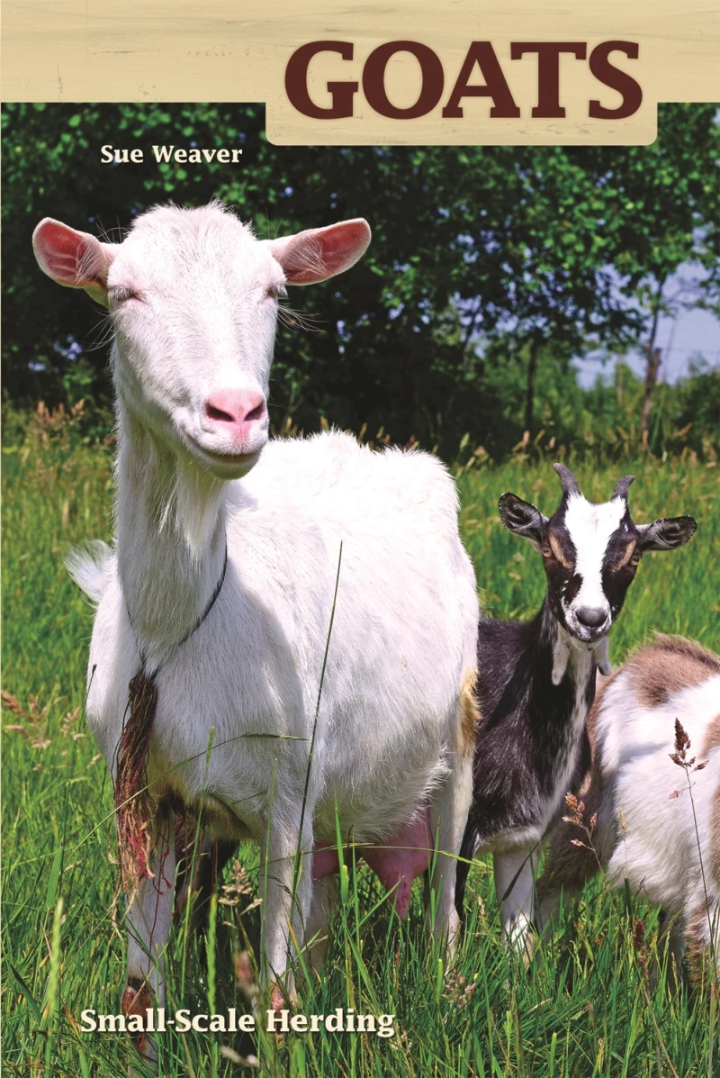 Portada: Goats