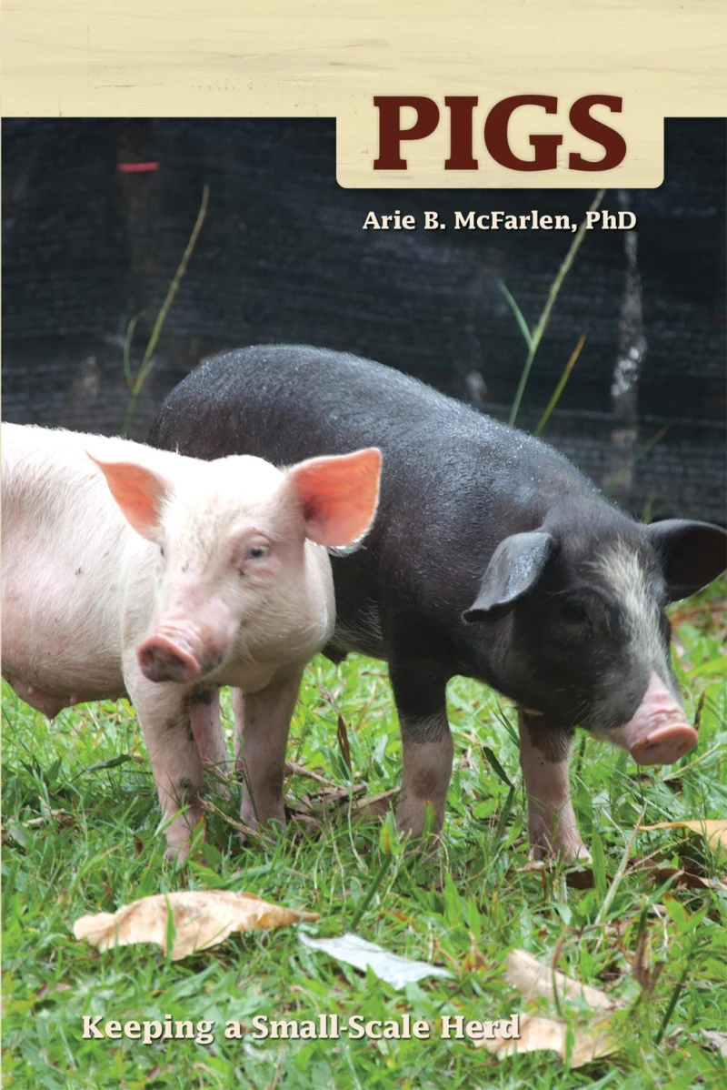 Portada: Pigs