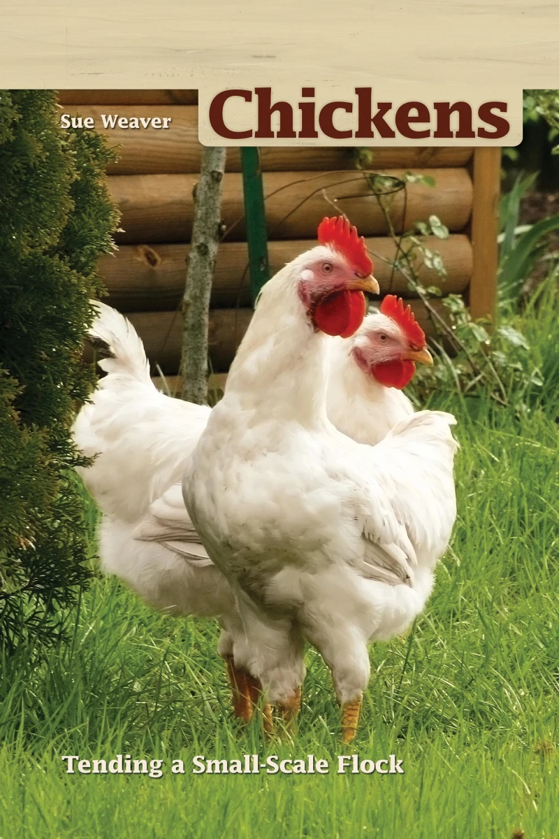 Portada: Chickens, 2nd Edition