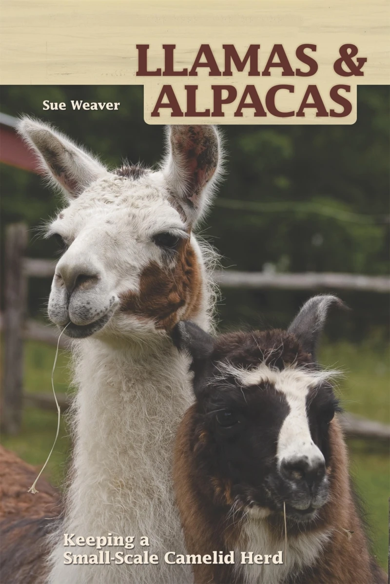 Portada: Llamas and Alpacas