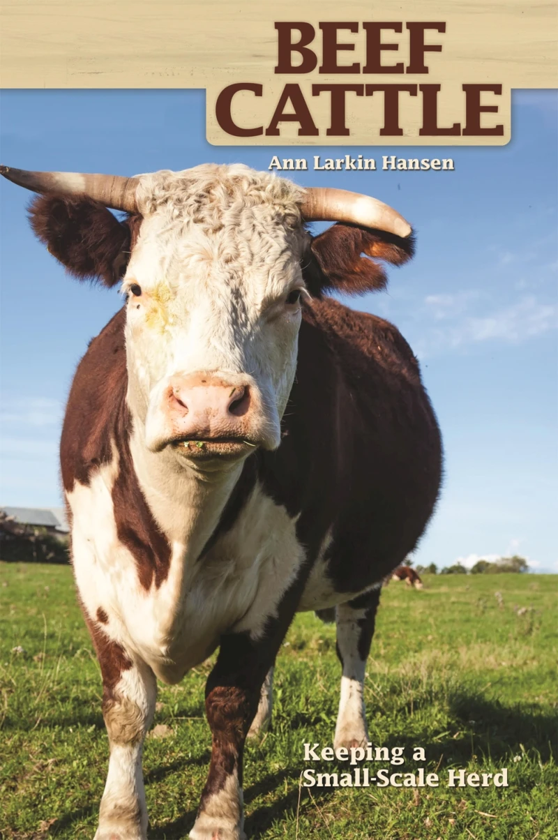 Portada: Beef Cattle