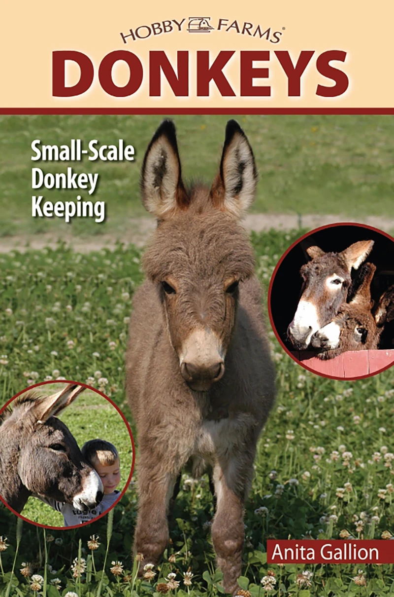 Portada: Donkeys