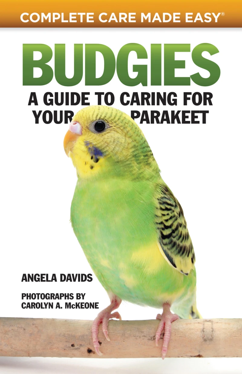 Portada: Budgies