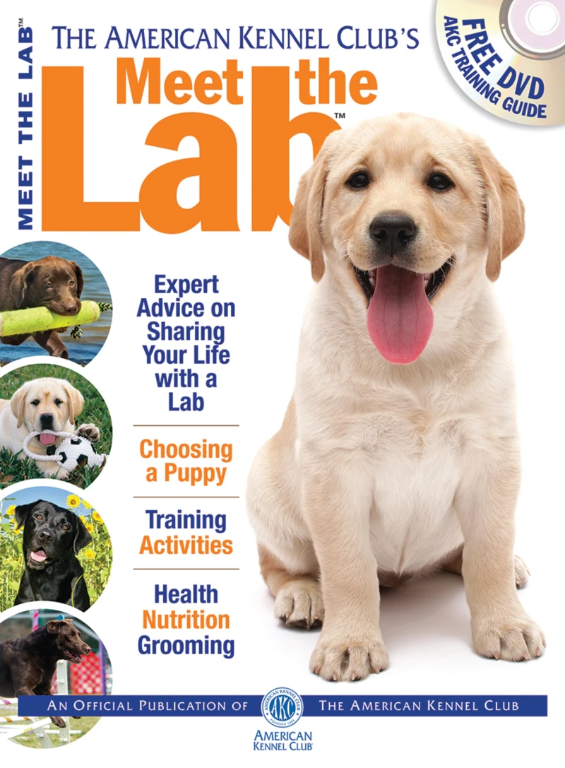 Portada: Meet the Lab