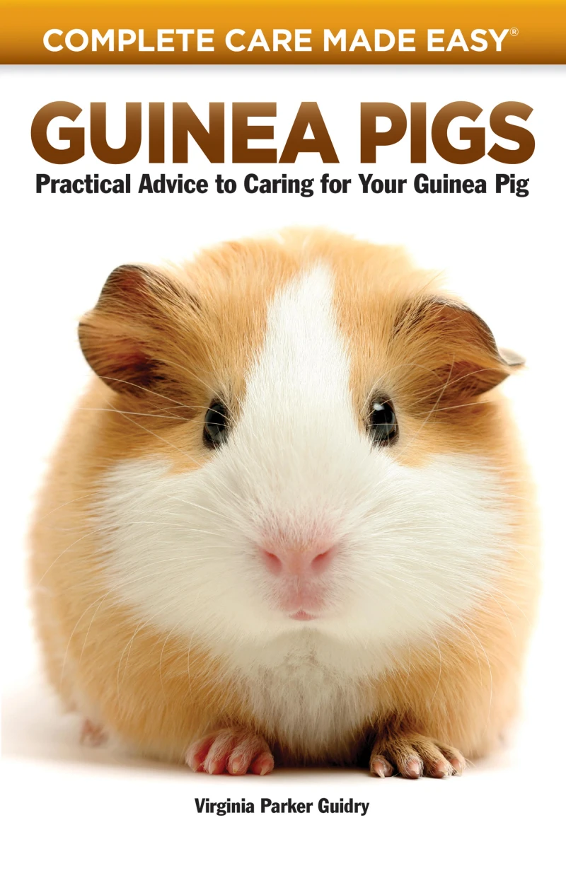Portada: Guinea Pigs