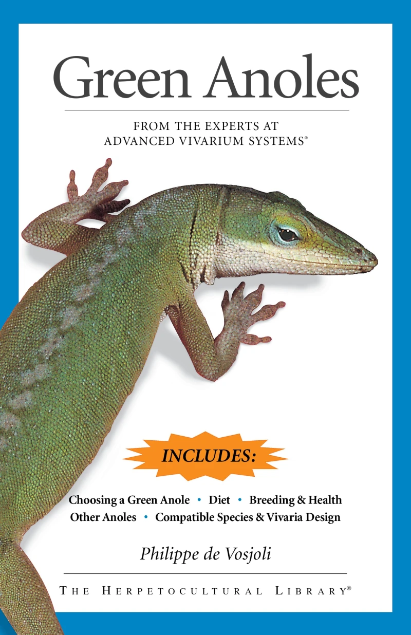 Portada: Green Anoles