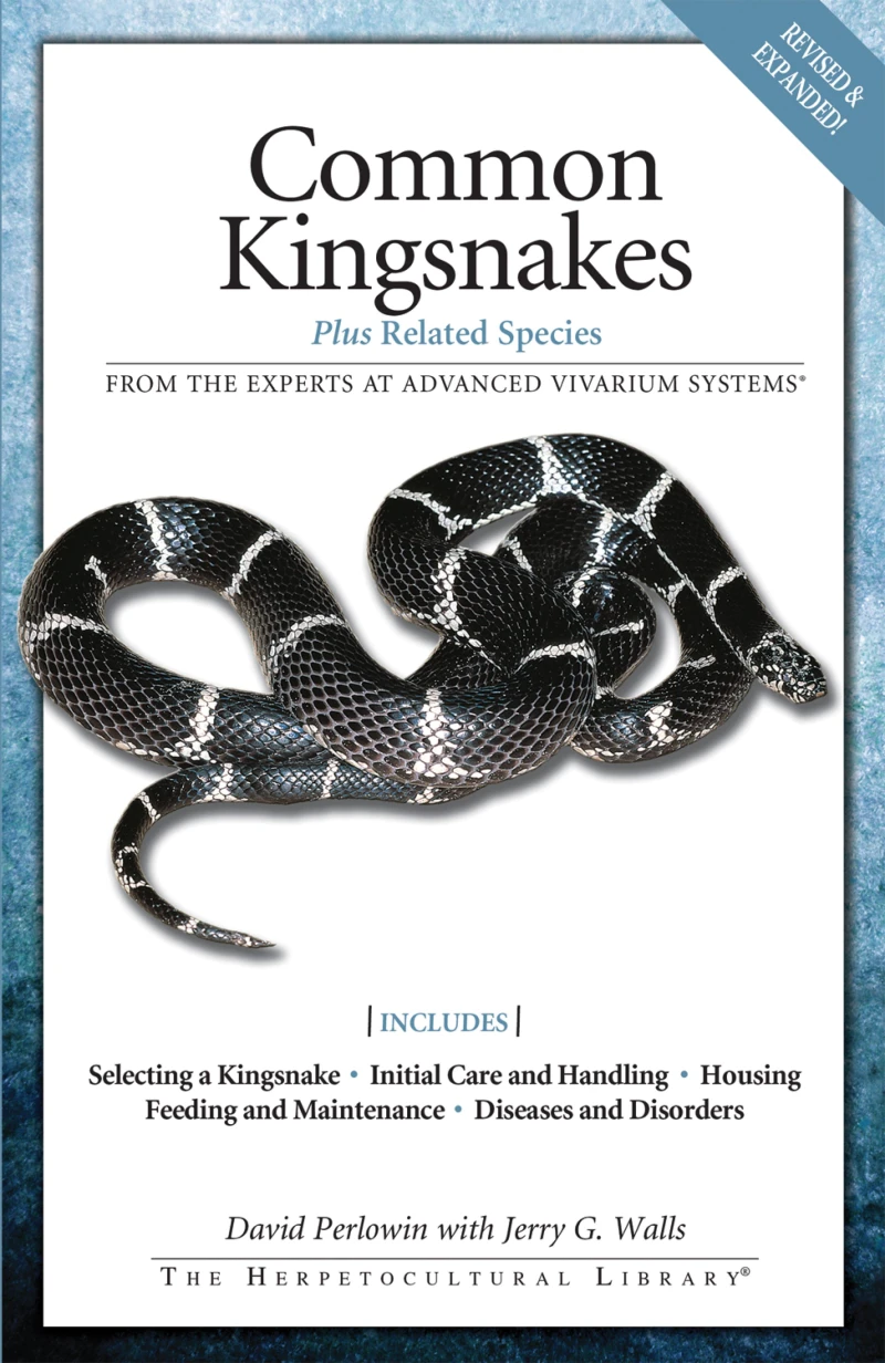Portada: Common Kingsnakes