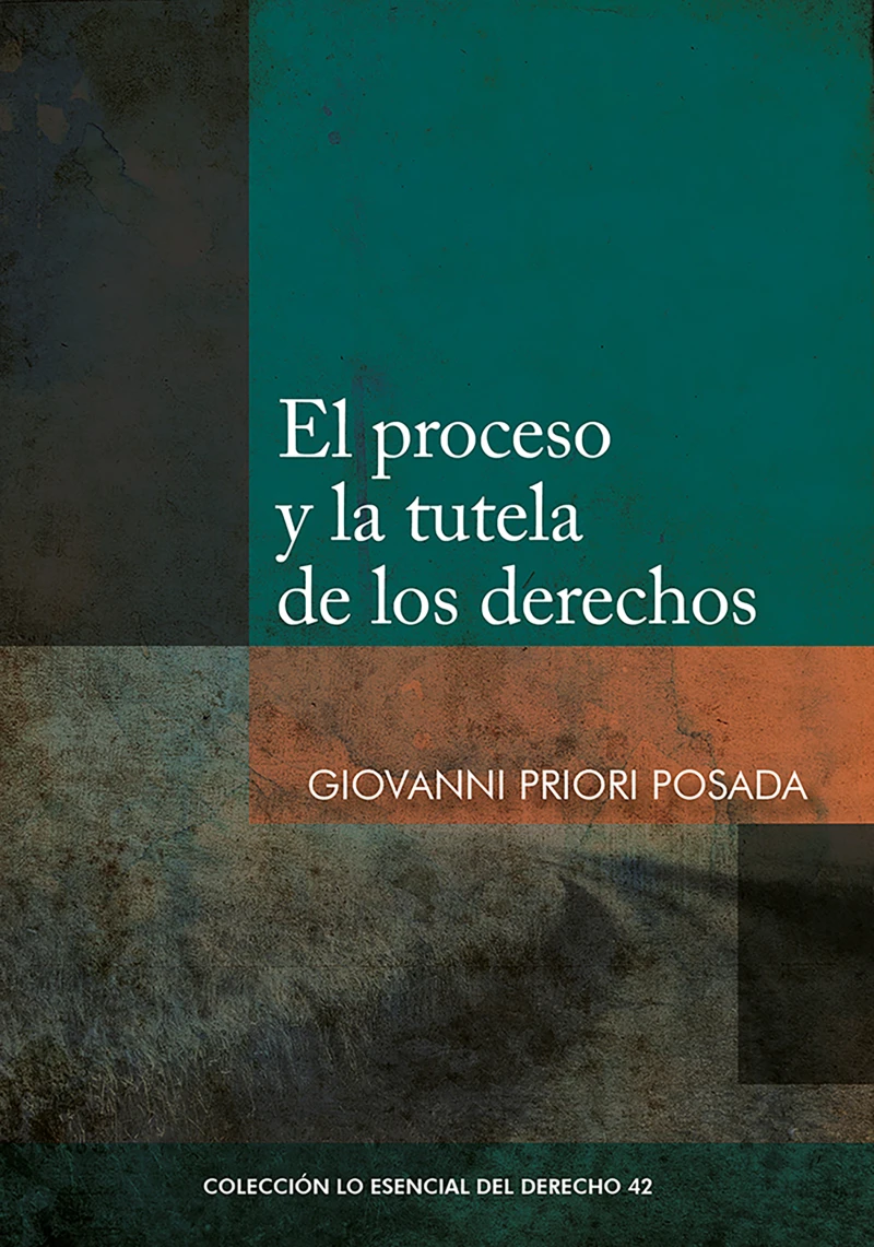 Portada: El proceso y la tutela de los derechos