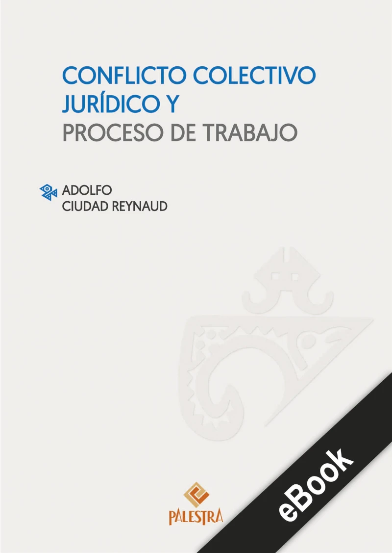 Portada: Conflicto colectivo jurídico y proceso de trabajo