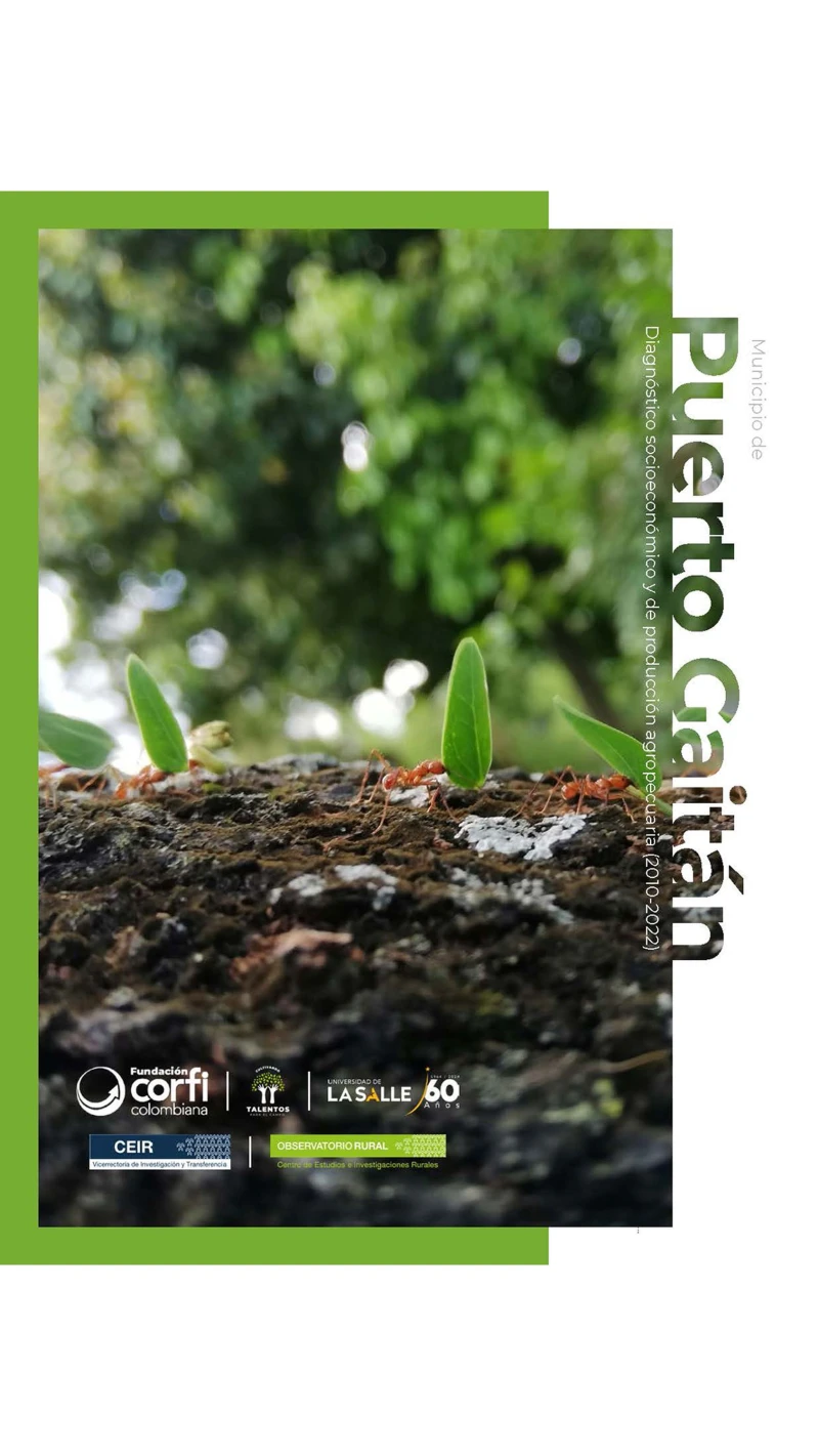 Portada: Municipio de Puerto Gaitán (Meta)