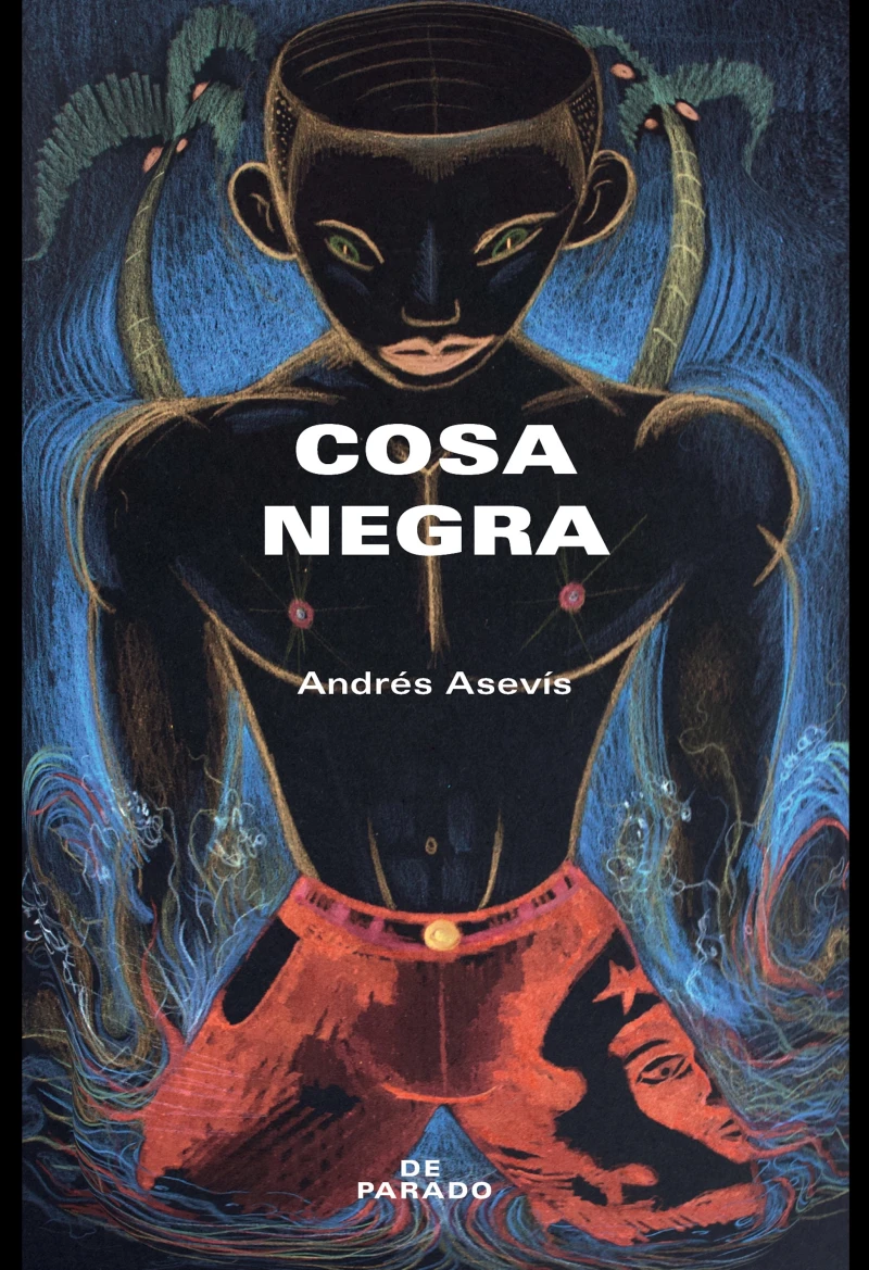 Portada: Cosa negra