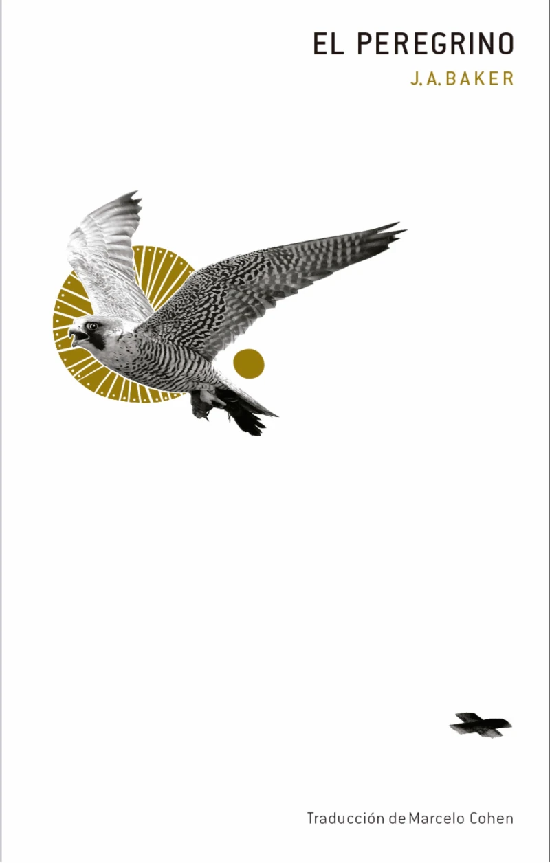 Portada: El peregrino