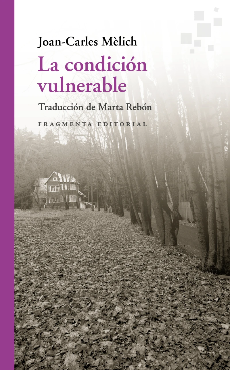 Portada: La condición vulnerable