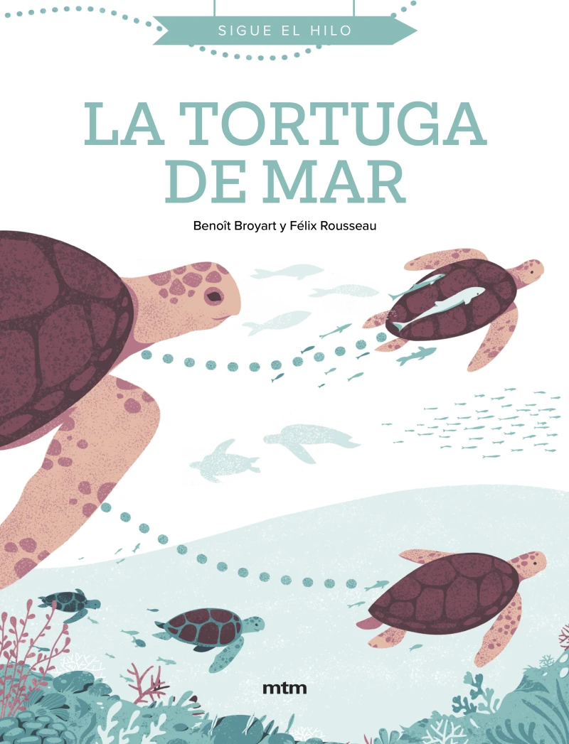 Portada: La tortuga de mar