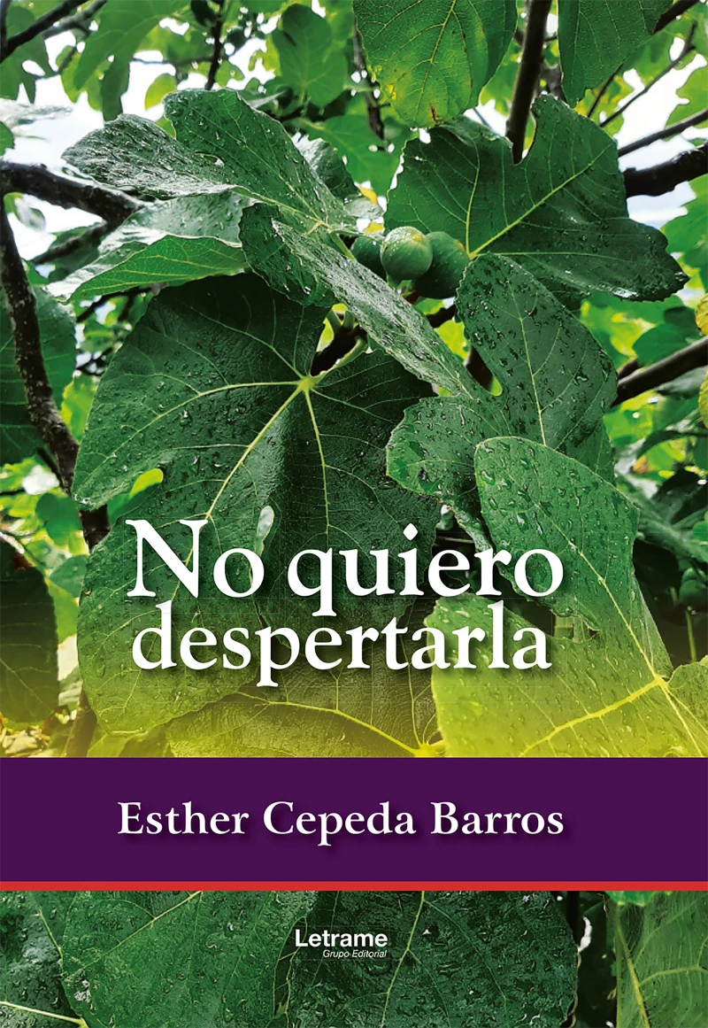 Portada: No quiero despertarla