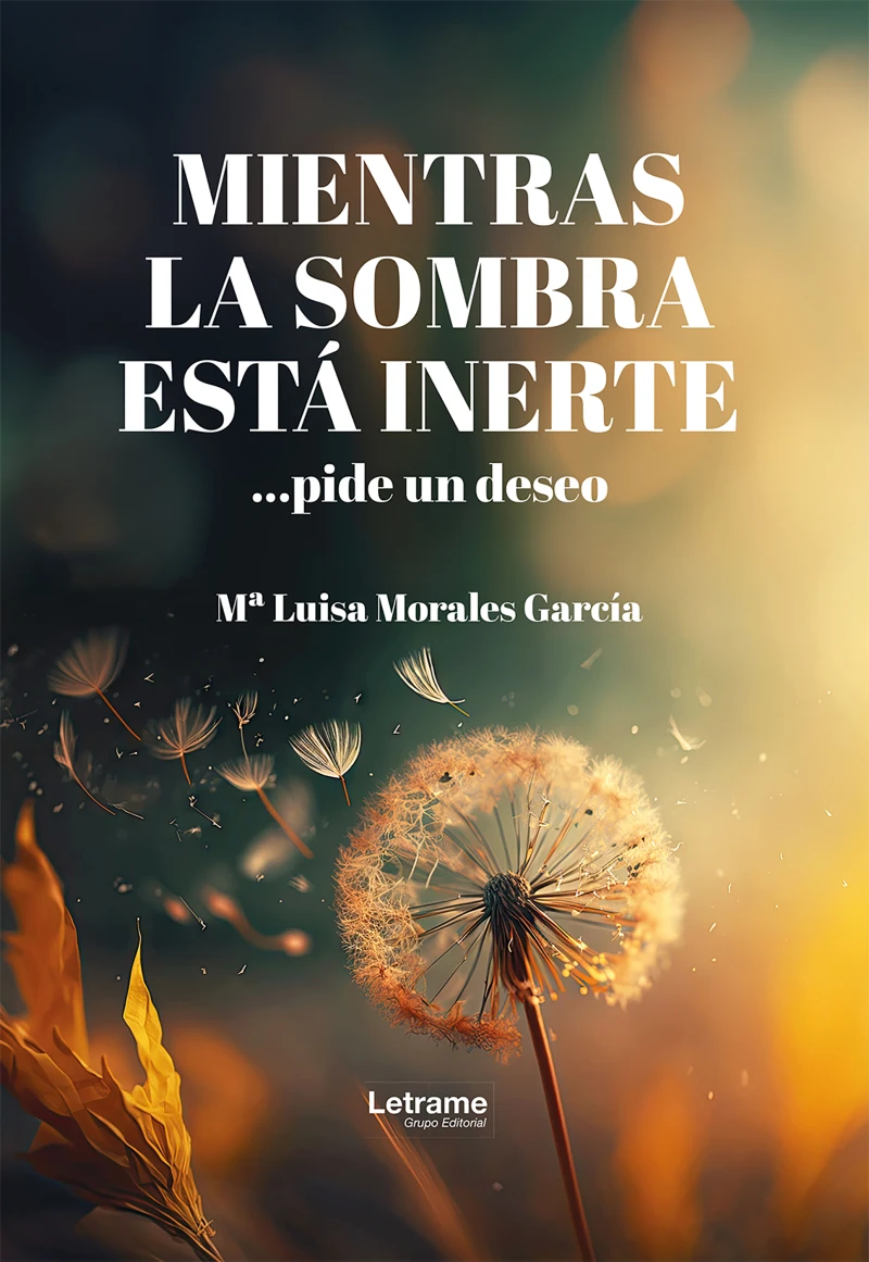 Portada: Mientras la sombra está inerte... pide un deseo