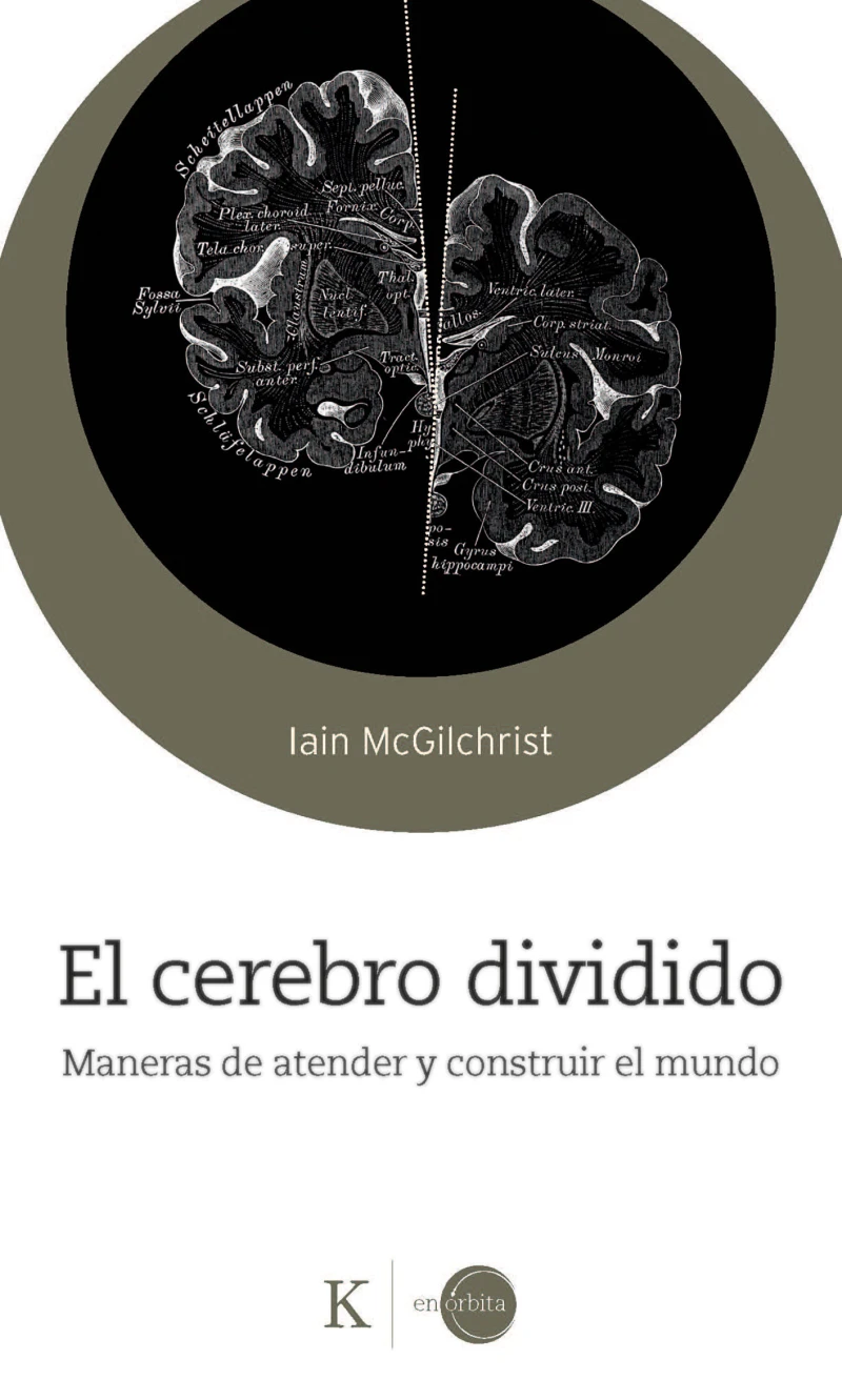 Portada: El cerebro dividido