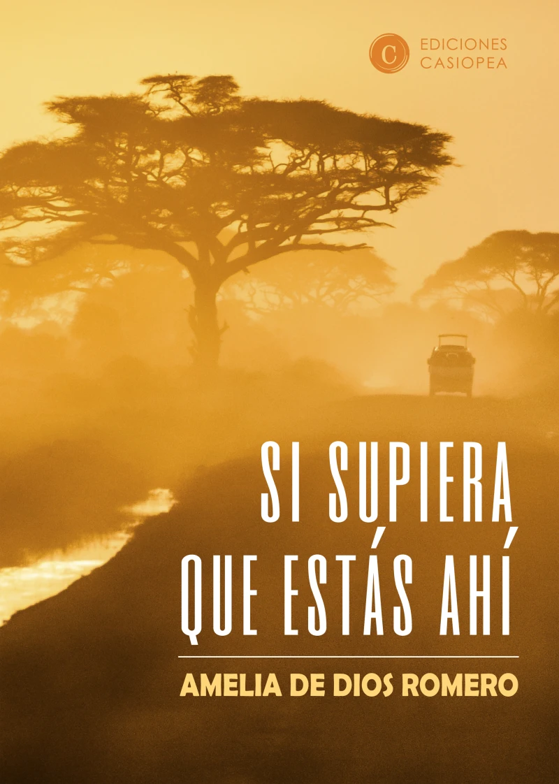 Portada: Si supiera que estás ahí