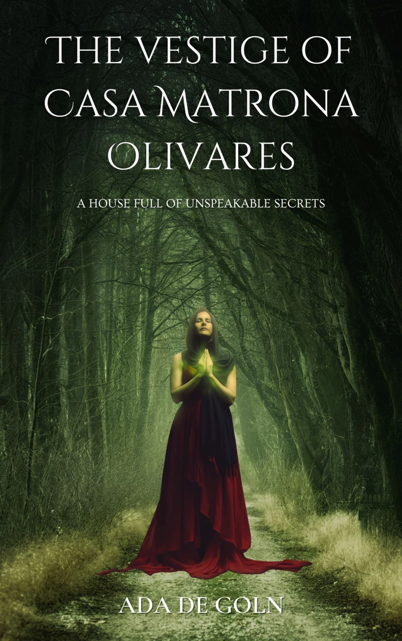 Portada: The vestige of Casa Matrona Olivares