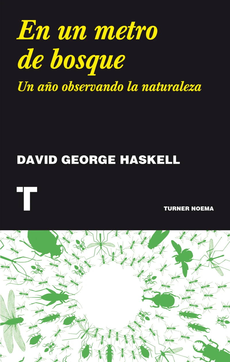 Portada: En un metro de bosque