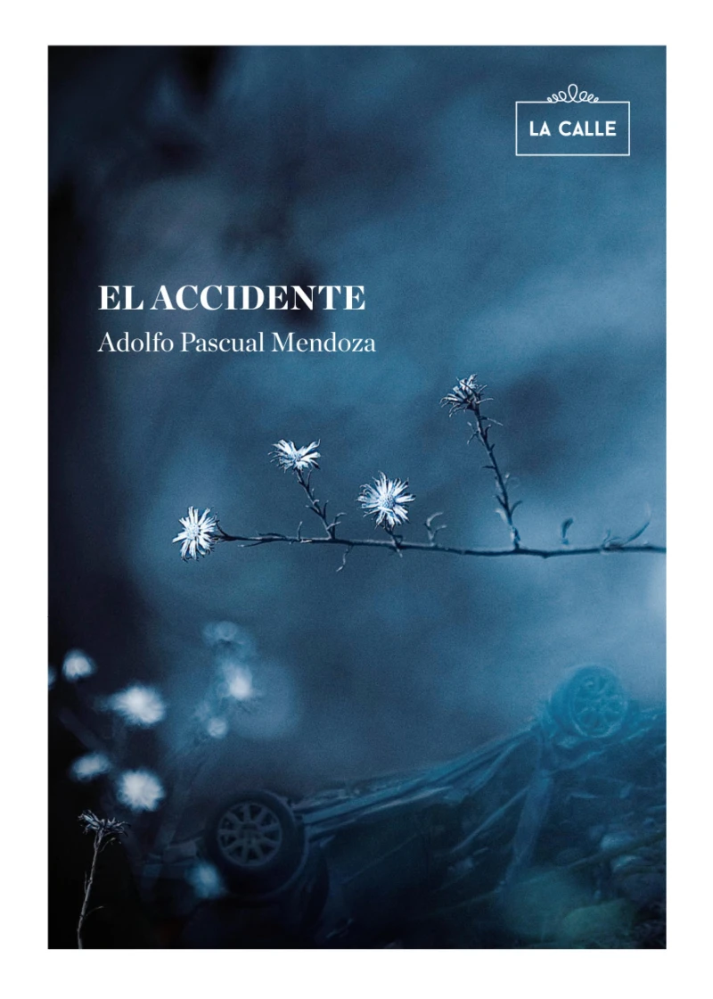 Portada: El accidente
