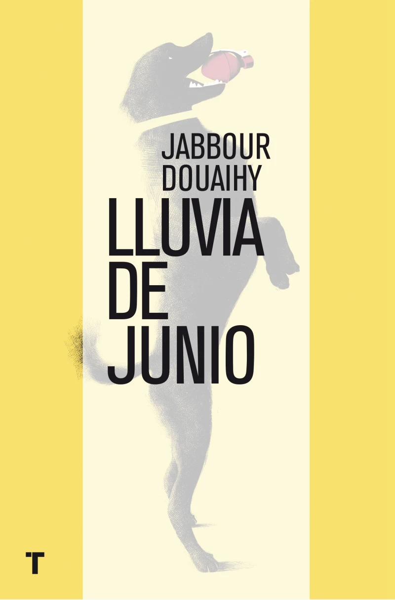 Portada: Lluvia de junio