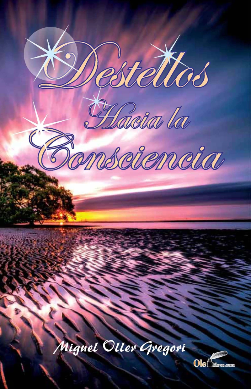 Portada: Destellos hacia la conciencia