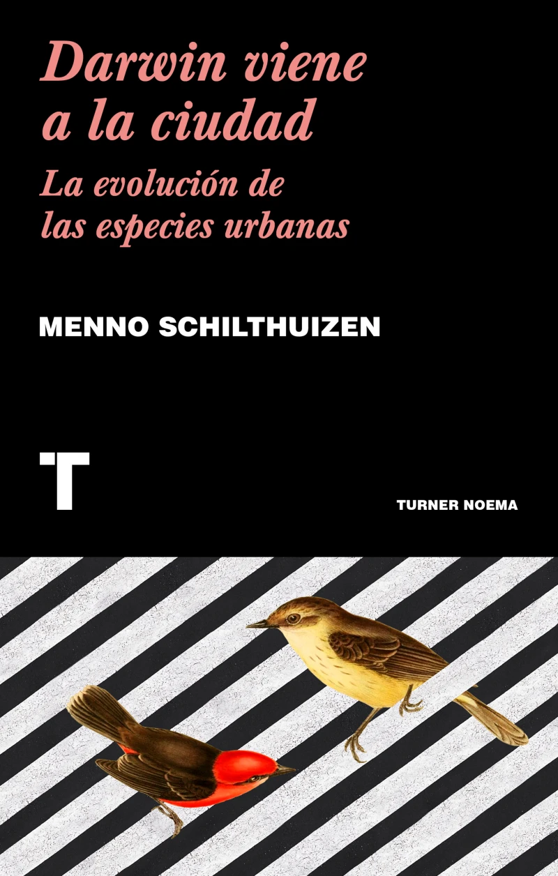 Portada: Darwin viene a la ciudad