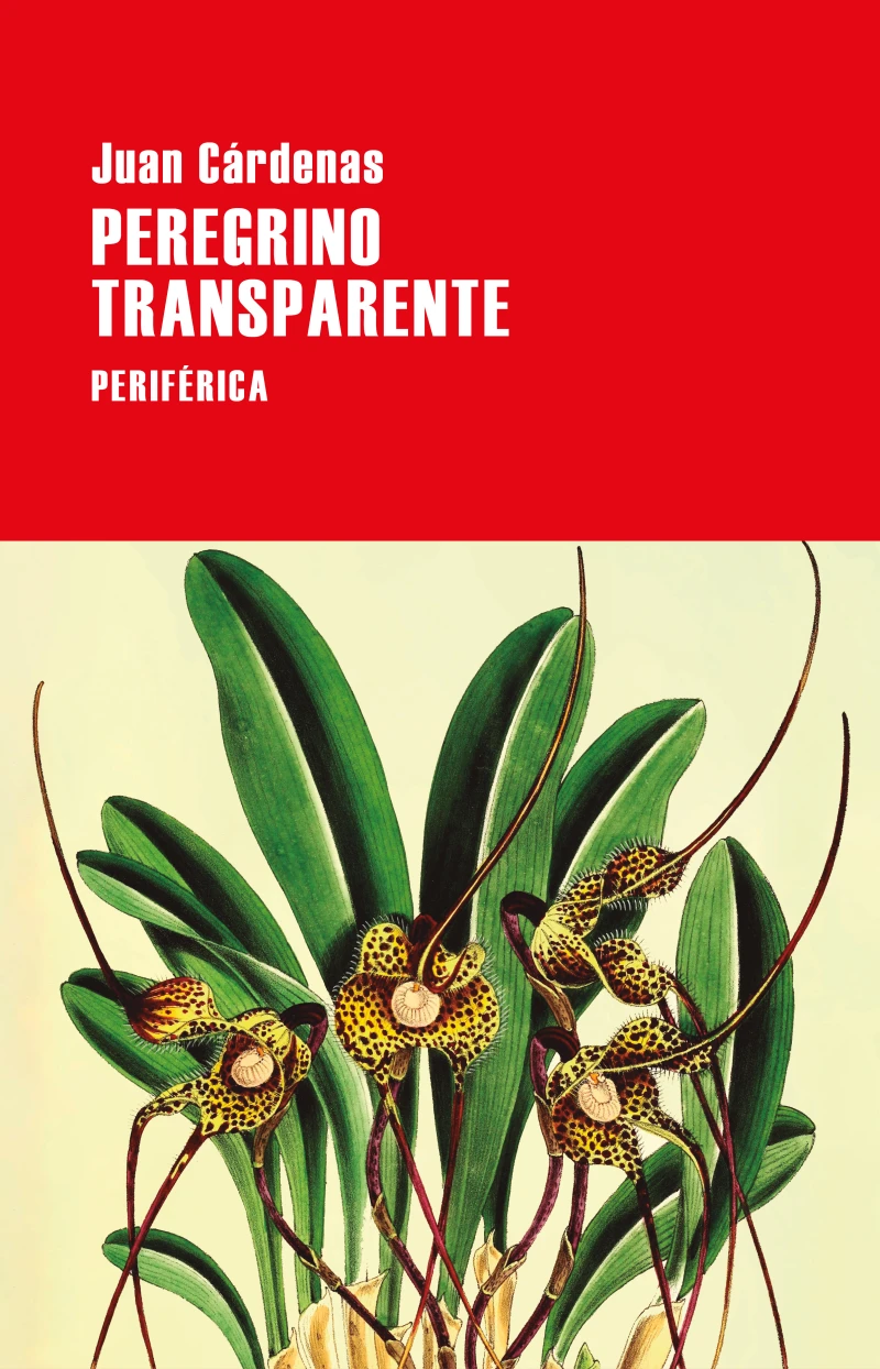 Portada: Peregrino transparente