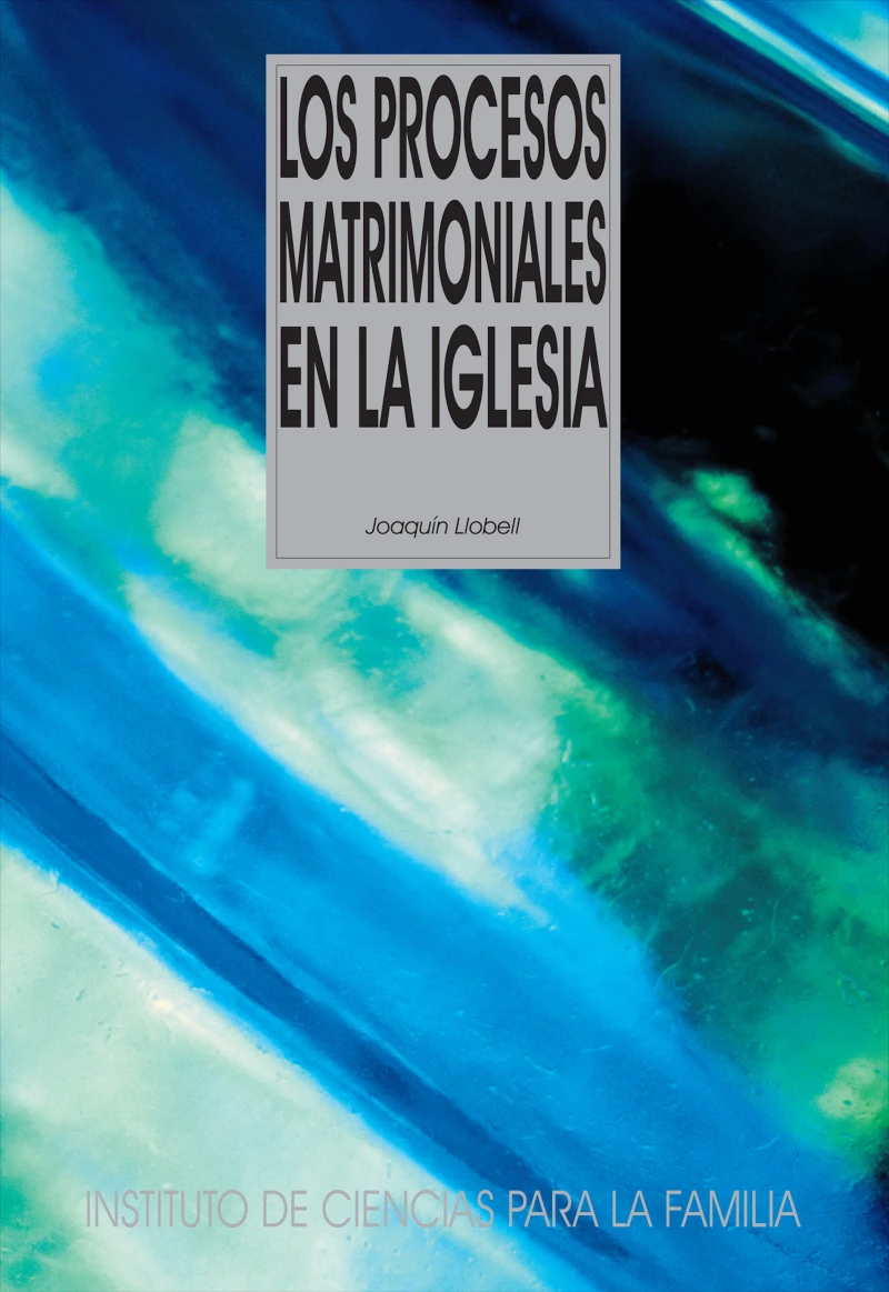 Portada: Los procesos matrimoniales en la Iglesia